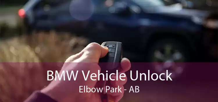 BMW Vehicle Unlock Elbow Park - AB
