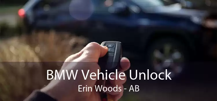 BMW Vehicle Unlock Erin Woods - AB