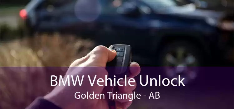 BMW Vehicle Unlock Golden Triangle - AB