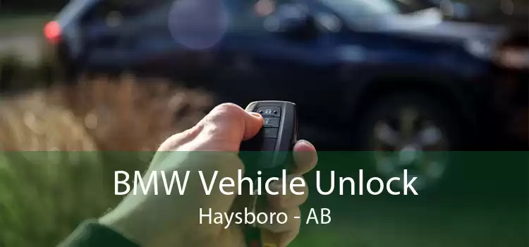 BMW Vehicle Unlock Haysboro - AB