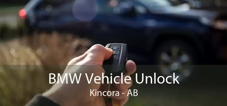 BMW Vehicle Unlock Kincora - AB
