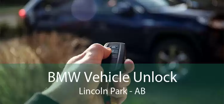 BMW Vehicle Unlock Lincoln Park - AB