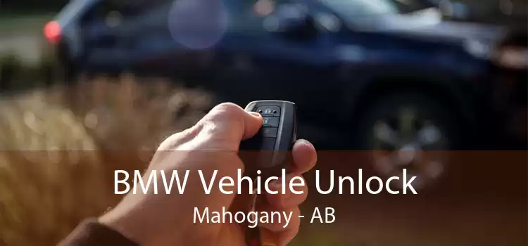 BMW Vehicle Unlock Mahogany - AB