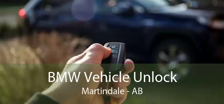 BMW Vehicle Unlock Martindale - AB