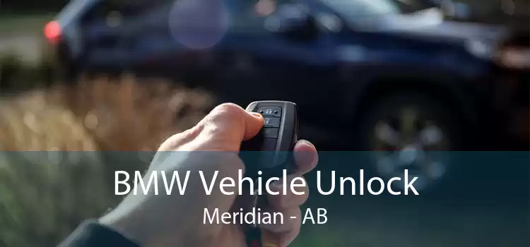 BMW Vehicle Unlock Meridian - AB
