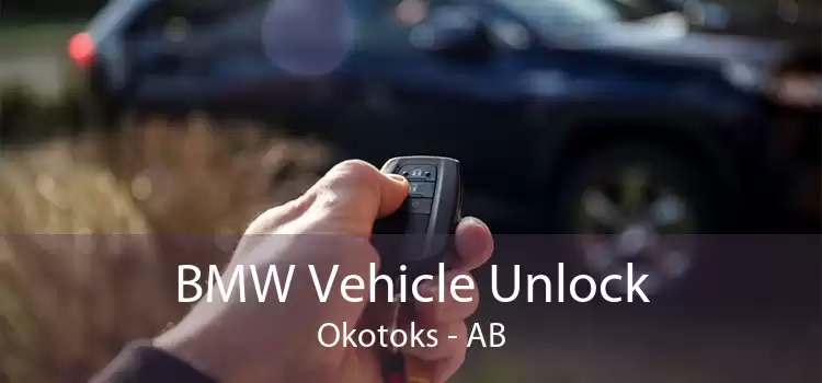 BMW Vehicle Unlock Okotoks - AB