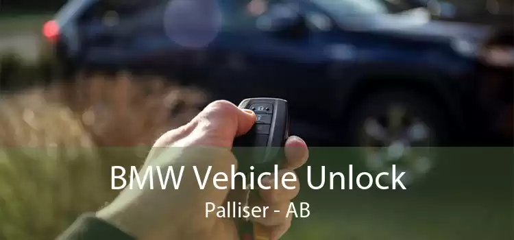 BMW Vehicle Unlock Palliser - AB