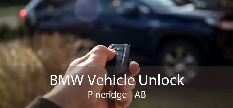 BMW Vehicle Unlock Pineridge - AB