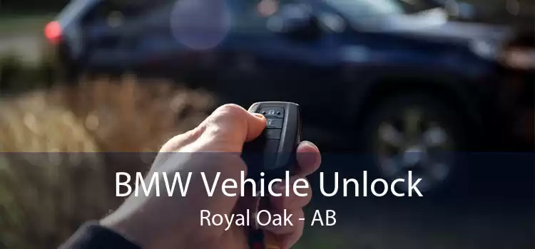 BMW Vehicle Unlock Royal Oak - AB