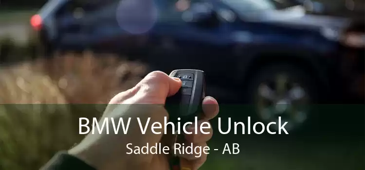 BMW Vehicle Unlock Saddle Ridge - AB