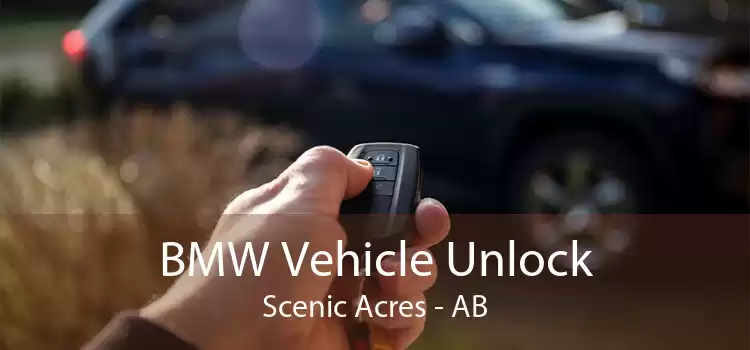 BMW Vehicle Unlock Scenic Acres - AB