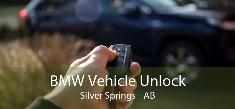 BMW Vehicle Unlock Silver Springs - AB