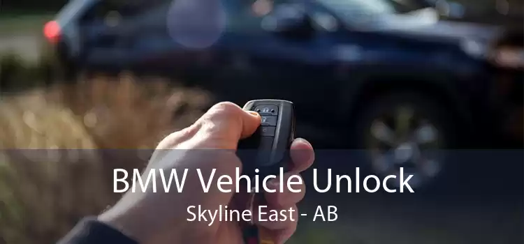 BMW Vehicle Unlock Skyline East - AB