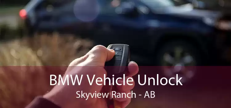 BMW Vehicle Unlock Skyview Ranch - AB