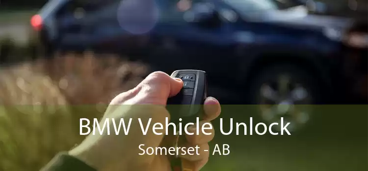 BMW Vehicle Unlock Somerset - AB