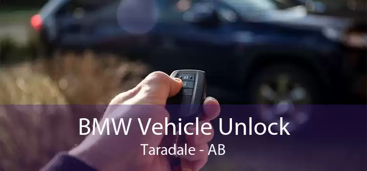 BMW Vehicle Unlock Taradale - AB