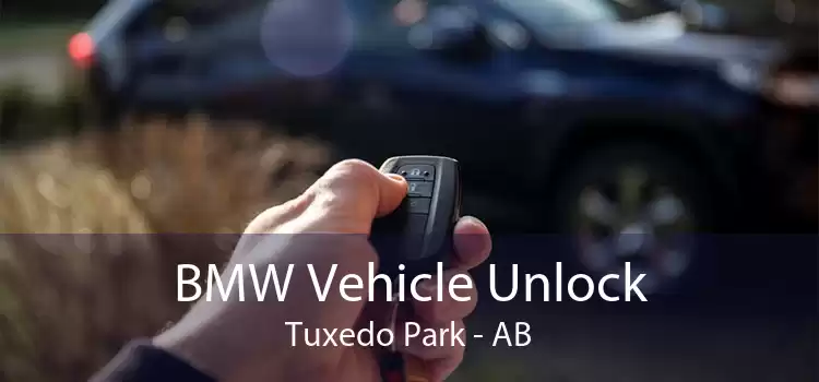 BMW Vehicle Unlock Tuxedo Park - AB