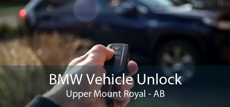 BMW Vehicle Unlock Upper Mount Royal - AB