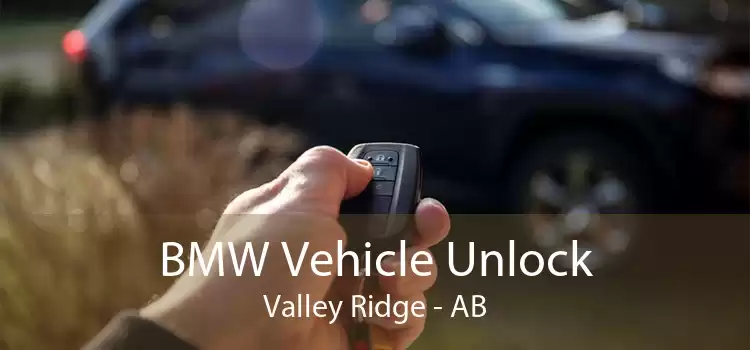 BMW Vehicle Unlock Valley Ridge - AB