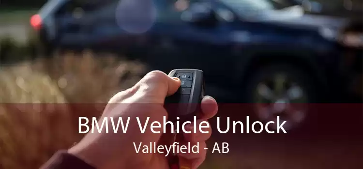 BMW Vehicle Unlock Valleyfield - AB