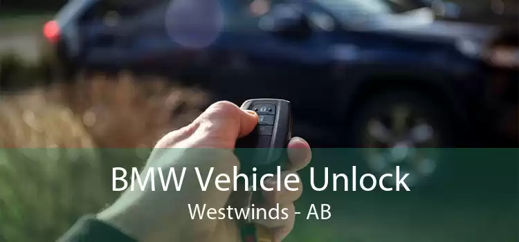 BMW Vehicle Unlock Westwinds - AB