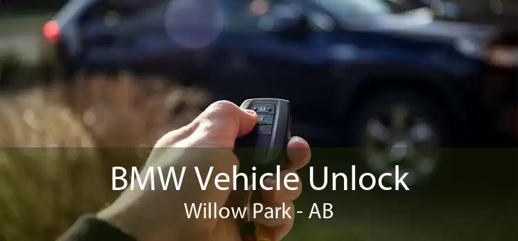 BMW Vehicle Unlock Willow Park - AB