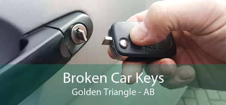 Broken Car Keys Golden Triangle - AB