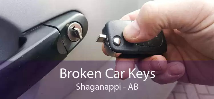 Broken Car Keys Shaganappi - AB