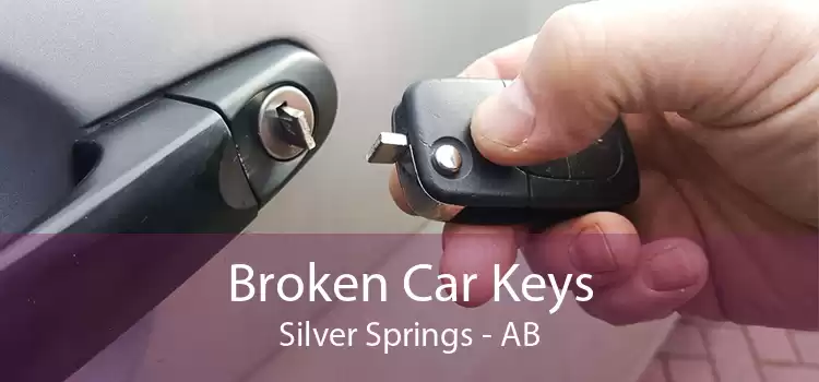 Broken Car Keys Silver Springs - AB