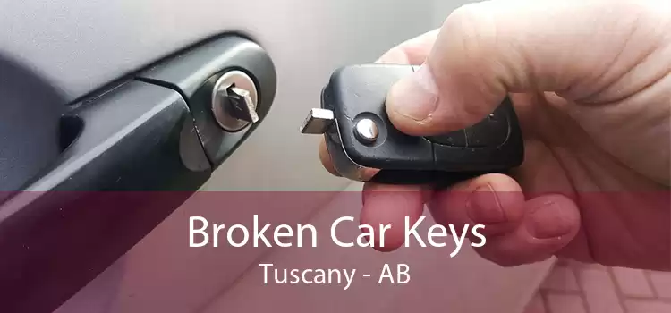 Broken Car Keys Tuscany - AB