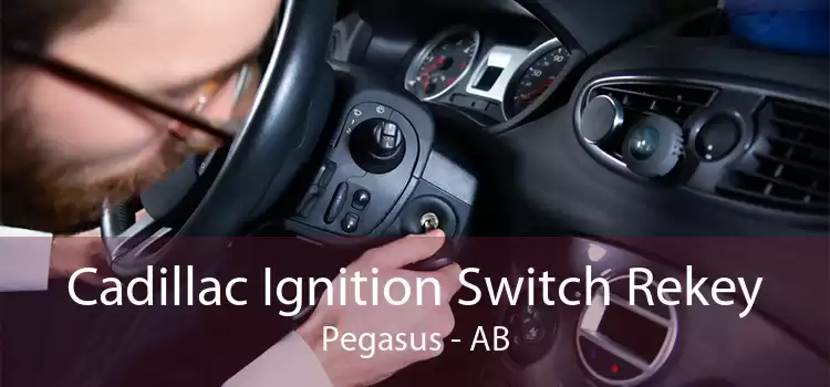 Cadillac Ignition Switch Rekey Pegasus - AB