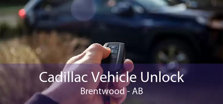 Cadillac Vehicle Unlock Brentwood - AB