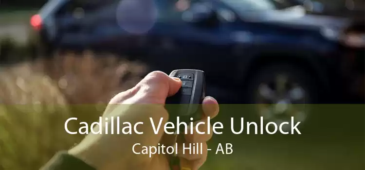 Cadillac Vehicle Unlock Capitol Hill - AB