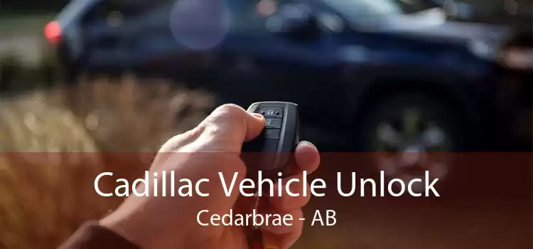 Cadillac Vehicle Unlock Cedarbrae - AB