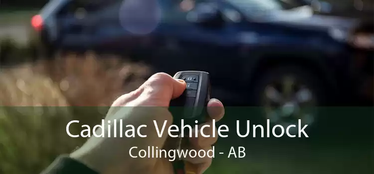 Cadillac Vehicle Unlock Collingwood - AB