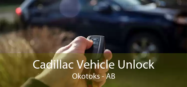 Cadillac Vehicle Unlock Okotoks - AB
