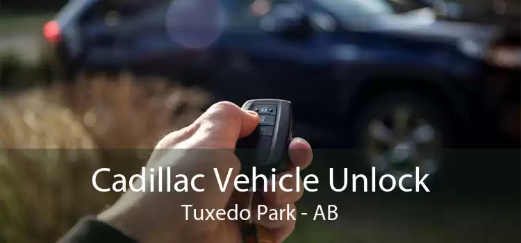 Cadillac Vehicle Unlock Tuxedo Park - AB