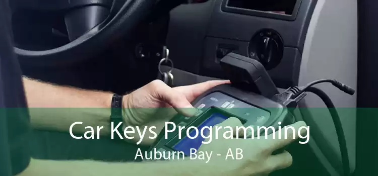 Car Keys Programming Auburn Bay - AB