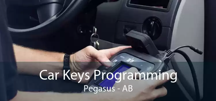 Car Keys Programming Pegasus - AB