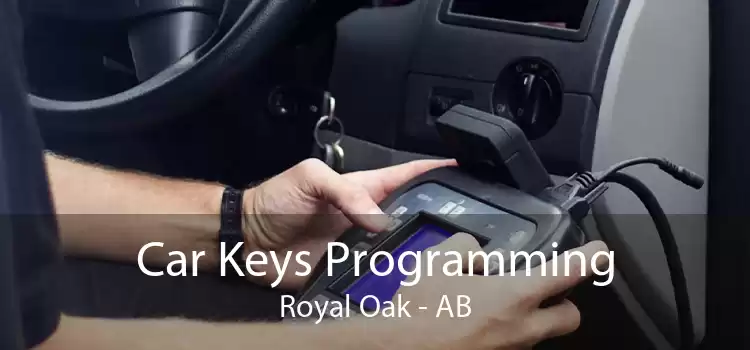 Car Keys Programming Royal Oak - AB