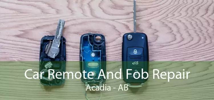 Car Remote And Fob Repair Acadia - AB