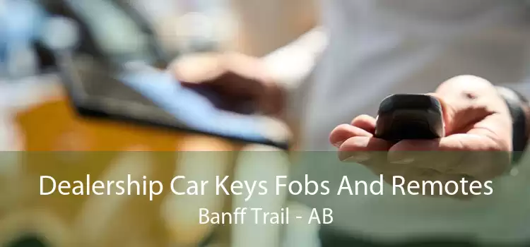 Dealership Car Keys Fobs And Remotes Banff Trail - AB