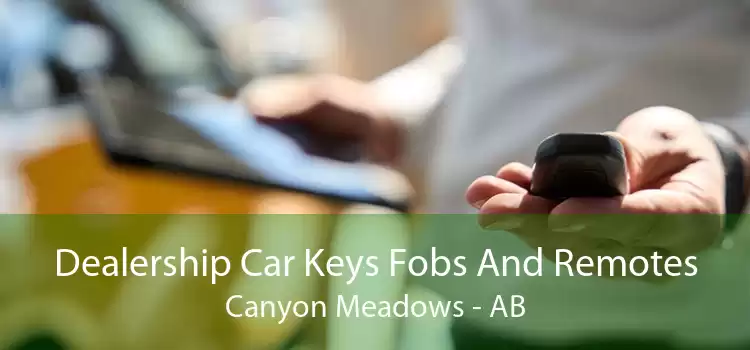 Dealership Car Keys Fobs And Remotes Canyon Meadows - AB