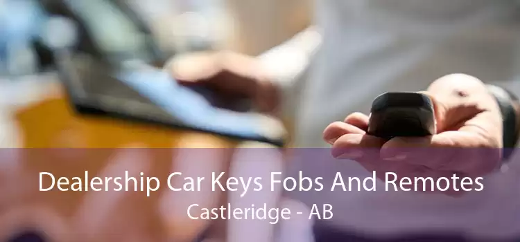 Dealership Car Keys Fobs And Remotes Castleridge - AB
