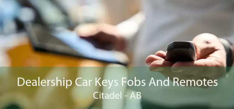 Dealership Car Keys Fobs And Remotes Citadel - AB