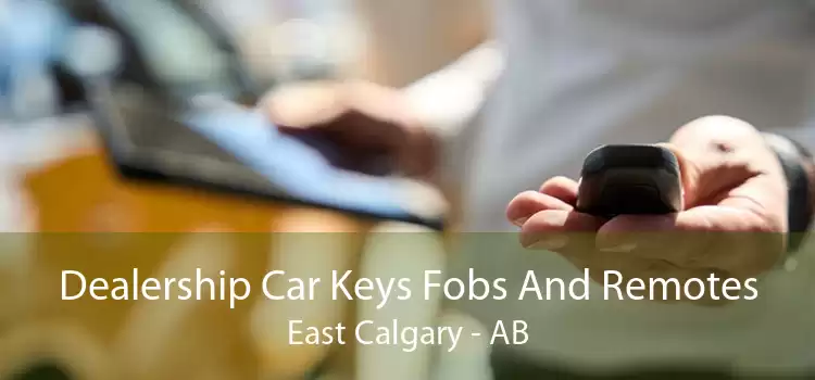 Dealership Car Keys Fobs And Remotes East Calgary - AB