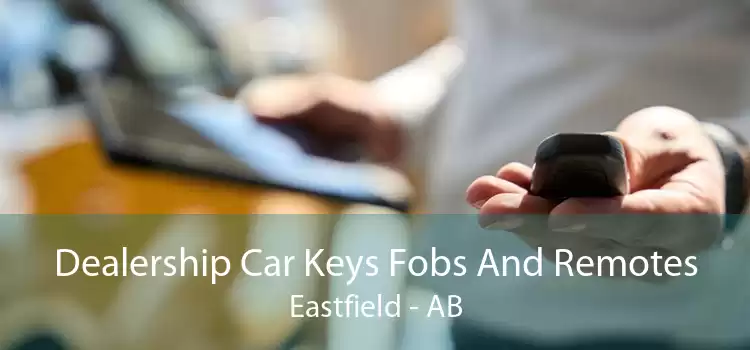 Dealership Car Keys Fobs And Remotes Eastfield - AB