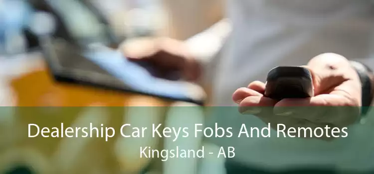 Dealership Car Keys Fobs And Remotes Kingsland - AB