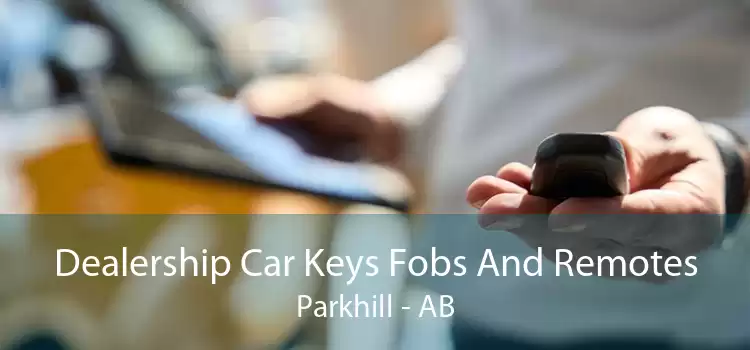 Dealership Car Keys Fobs And Remotes Parkhill - AB