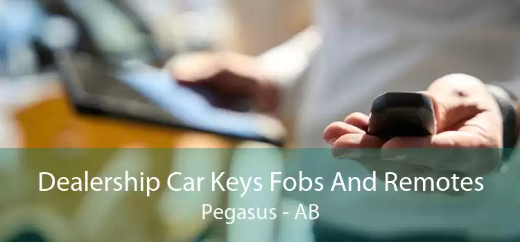 Dealership Car Keys Fobs And Remotes Pegasus - AB